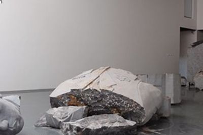 Zhao Zhao You cannot separate art from politics