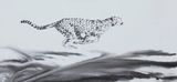 Wilderness by JY contemporary artwork drawing painting works on paper