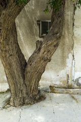 Eau de Vie 1118 by Georges Yammine contemporary artwork photography