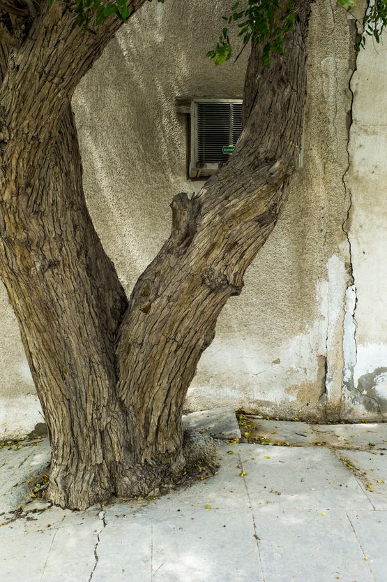 Eau de Vie 1118 by Georges Yammine contemporary artwork Photography
