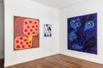 Bertrand Fournier contemporary artist