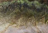 Rocky Point series 4 by Robert Oxnam contemporary artwork photography print