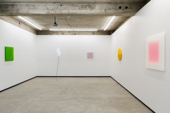 Contemporary art exhibition Karyn Taylor Fuzzy Logic at Jhana Millers Wellington New Zealand
