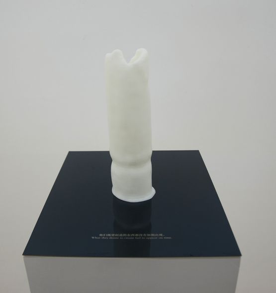 Collection No.4 by Feng Bingyi contemporary artwork Installation