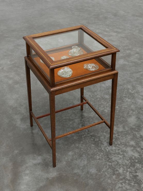 Untitled display case by Mona Hatoum contemporary artwork Sculpture