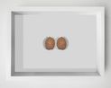 Peach Pit by Chi Peng contemporary artwork Mixed Media
