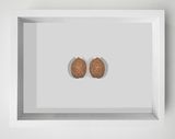 Peach Pit by Chi Peng contemporary artwork mixed media