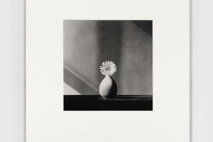 Robert Mapplethorpe
