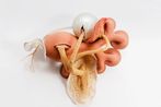 Untitled by Maria Nepomuceno contemporary artwork Sculpture
