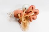 Untitled by Maria Nepomuceno contemporary artwork sculpture