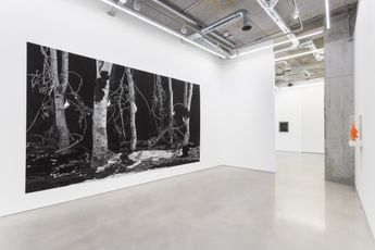 Contemporary art exhibition Hannah Collins Hannah Collins El Tiempo del Fuego at Maureen Paley London United Kingdom