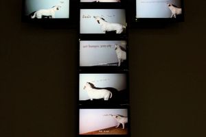 Hung-Chi Peng