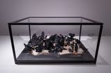 Flora of Formosa  Unspoken Chapter II by Yang Chung-Ming contemporary artwork works on paper