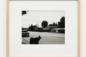 Robert Adams contemporary artist