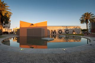 Museum of Contemporary Art North Miami  MOCA North Miami contemporary art institution in