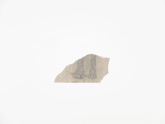 The Dogs Feet by Lai Yu Tong contemporary artwork Works on Paper