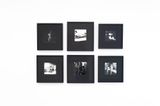 One Night of Love by Fiona Pardington contemporary artwork photography