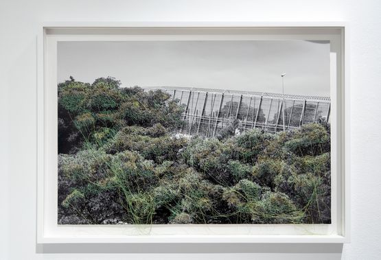 Border Line by Monica De Miranda contemporary artwork Print