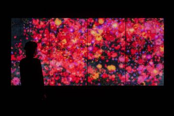 Contemporary art exhibition teamLab Flowers and People - A Whole Year per Hour at Martin Browne Contemporary Sydney Australia