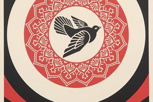 Shepard Fairey