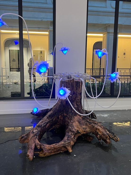 Air Oasis BreathCore-7 by Elnara Nasirli contemporary artwork Sculpture