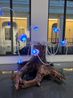Air Oasis BreathCore-7 by Elnara Nasirli contemporary artwork Sculpture