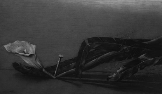 Lily by Youssef Abdelke contemporary artwork Works on Paper