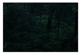 Untitled by Rachel Khedoori contemporary artwork photography