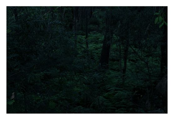 Untitled by Rachel Khedoori contemporary artwork Photography