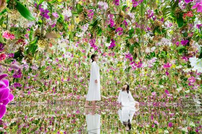teamLab Planets TOKYO Is a Phenomenon. But What Is It