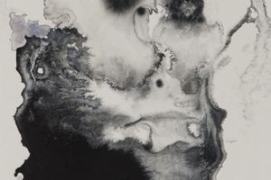 Yu Kawashima