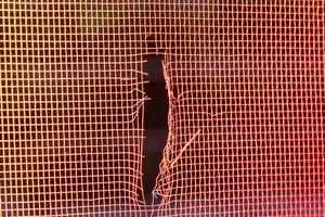 Eva Szombat