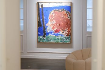 Don Van Vliet contemporary artist
