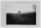 A Long Day of A Certain Year Six Diaries-Wednesday Overcast   by Li Lang contemporary artwork photography