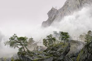 Yang Yongliang
