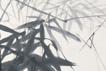 Contemporary art exhibition Chao Chung-Hsiang Asia Week New York at Alisan Fine Arts New York United States