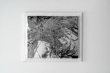 The Weaving of Sunlight by Takafumi Asakura contemporary artwork painting