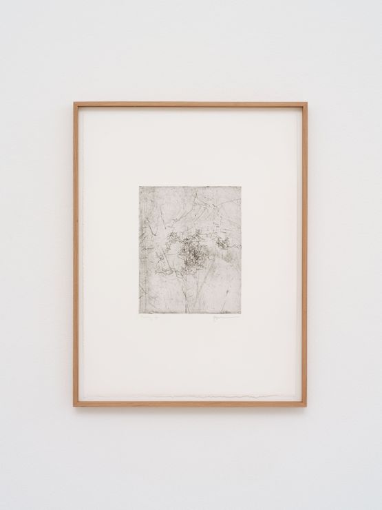 Tychoscope Etchings Tuesday by Eric Baudelaire contemporary artwork Print