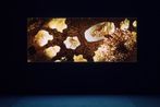 Western Union Series No. 6 Afterlife by Isaac Julien contemporary artwork Photography