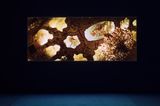 Western Union Series No. 6 Afterlife by Isaac Julien contemporary artwork photography