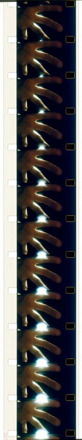 Placing the fisheye by Joao Maria Gusmao  Pedro Paiva contemporary artwork moving image