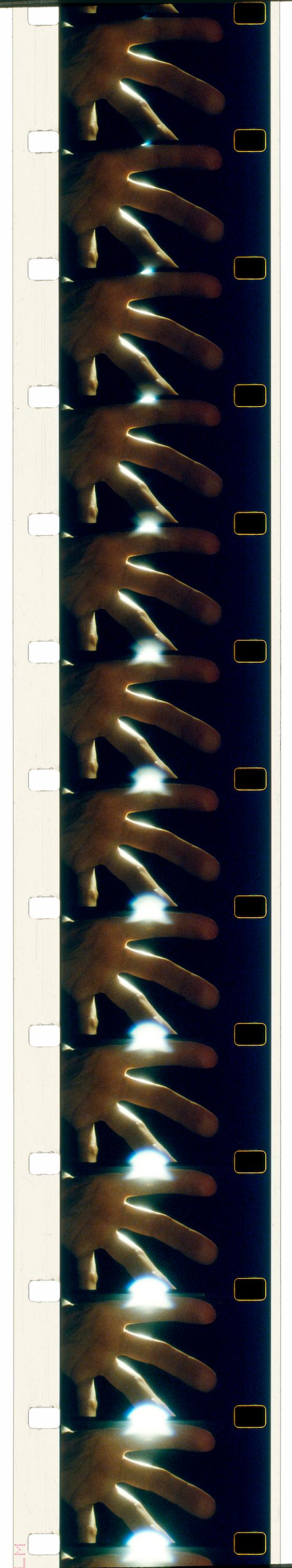 Placing the fisheye by Joao Maria Gusmao  Pedro Paiva contemporary artwork Moving Image
