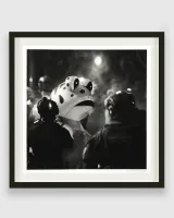 Untitled Portland Frog by Robert Longo contemporary artwork works on paper