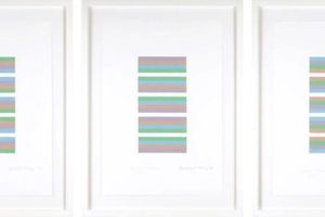 Bridget Riley