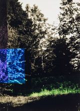 Garten mit Blau und Lila by Frank Madler contemporary artwork photography