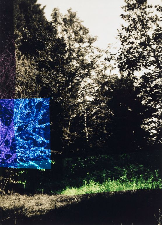 Garten mit Blau und Lila by Frank Madler contemporary artwork Photography