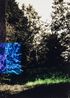 Garten mit Blau und Lila by Frank Madler contemporary artwork Photography