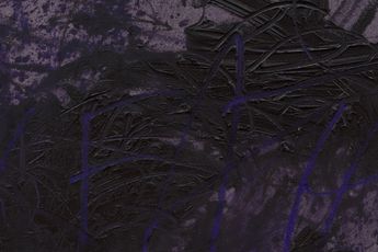 Contemporary art exhibition Austyn Weiner Something Borrowed Something Plum at MASSIMODECARLO Milan Italy