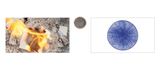 Microcosmic Landscape Part 1 by Man Fung Yi contemporary artwork mixed media moving image