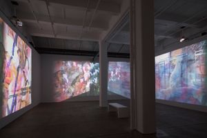 Carolee Schneemann